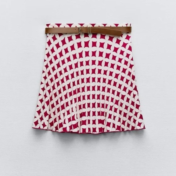 Zara Pleated Mini Skirt - Picture 2 of 6